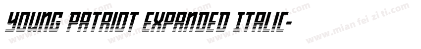 Young Patriot Expanded Italic字体转换